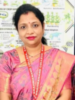 Dr. Anupam Porwal